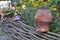 Rural scenery - old clay pots on a wattled fence near flowers