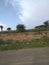 Rural scenery of southern Ethiopia, near Awash river