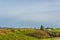 Rural scenery in Staffin countryside, Isle of Skye