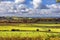 Rural scenic view of green fields, Salisbury, England