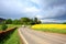 Rural Scottish road with fields of