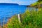 Rural Seaside Landscape at Portugal Cove - St. Philip`s, Newfoundland, Canada