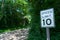 Rural Shaded Dirt Road in a Forest with Green Trees and Speed Limit Sign