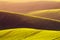 Rural spring agriculture texture background. Green waves hills in South Moravia, Czech Republic during sunset. Green fields