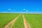 Rural spring landscape with field road and blue sky