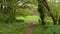 Rural Spring scene in the countryside of Devon South West England