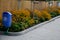 Rural square with yellow perennials flowering in a flowerbed along a ribbed fence with vertical planks. benches and fountain with