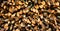 Rural Stack Firewood Textured Panorama Background.