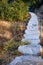 Rural stairway tray in natural park by cactus bush