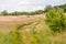 Rural steppe road with beatiful colorful wildflower meadows under cloudy sky