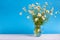 Rural still-life - bouquet of chamomile Matricaria recutita in a glass jug