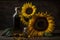 Rural still life sunflower oil in bottle with flowers of sunflower Helianthus annuus in dark light. Neural network AI