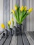 Rural still life,yellow tulips bunch in 5 cast-iron steel jug set,arranged in ascending order,wooden boards,copy space
