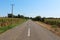 Rural straight paved road between green meadows and trees in summer