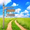 Rural summer landscape with dirt road and old wooden signboard