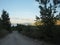 Rural traffic road in a wooded hilly area. Summer.