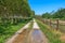 Rural trail along small stream in Italy.