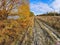 A rural unpaved road with hedge of autumn trees and blue sky