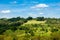 Rural view of Australia cattle and farming on hill