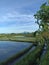 Rural view of blue sky over the rice terrace, with green cassava tree plant. Canggu, Bali, Indonesia