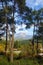 Rural view with pine trees, village and beautiful Tahtali Mountain on horizon. Cirali, Turkey