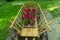 Rural wagon landscaping garden object with flower vases park outdoor spring time