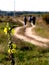 Rural walk of blurred silhouettes of three people in a distance in summer time