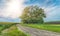 Rural Winding Road and sunny blue sky with sunflowers