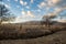 Rural winter morning scene Eastern Sierra Nevada mountains Owens Valley, Bishop, California, USA