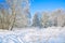 Rural winter snowy landscape with forest,field,road and blue sky