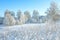 Rural winter snowy landscape with forest,field,village and blue