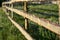 Rural wooden hedge fence corral.