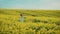 Rural young Ukrainian woman farmer enjoys rape crop, beauty spring blooming field. Girl walks admires touches flowers
