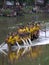 Rush to the finish line. Girls boat tries to win race during Bon om touk.