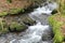 Rushing moorland stream