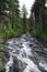 Rushing mountain stream