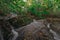 Rushing mountain stream, autumn atmosphere