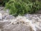 Rushing Rapid Water from Flash Flood in Stream