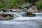 Rushing Rapids On The Credit River