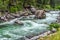 Rushing Rapids of the Gallatin River