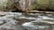 Rushing river in a forest with large rock formations on shore