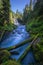 Rushing river and Koosah Falls in Willamette Forest