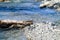 Rushing river riverbed rapids with trees and rocks with bright overhead sunny sky reflections and shadows