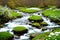 rushing stream full of rocks with green field with grass and flowers and some snow
