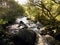 Rushing Stream, Ireland