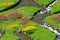 rushing stream near colored flowers and grass, tileable, seamless