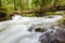 Rushing stream passing under a wooden footbridge