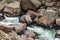 Rushing stream river water through Eleven Mile Canyon Colorado