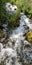 Rushing Stream Tumbles Over Mossy Rocks at Cascade Springs in the Wasatch Mountains of Utah