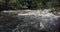 Rushing water along a creek in a forested area after a heavy rainfall